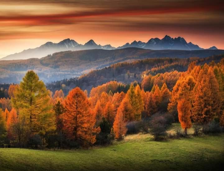 Tatry Panorama Apartmany Tatragolf Tatranská Lomnica Dış mekan fotoğraf